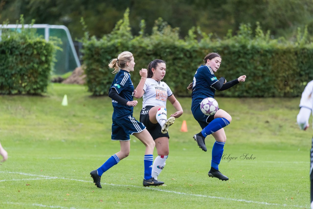 Bild 156 - B-Juniorinnen SV Henstedt Ulzburg - Hamburger SV : Ergebnis: 2:3